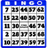 Bingokväll