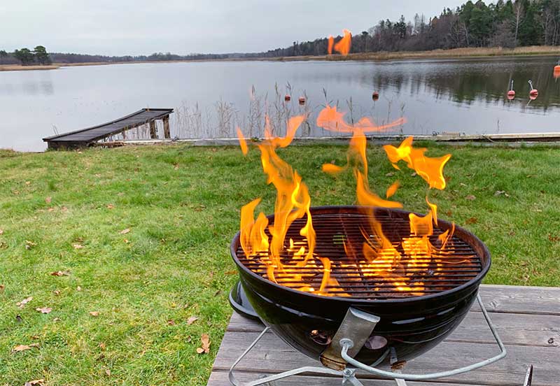 Grill vid en sjö